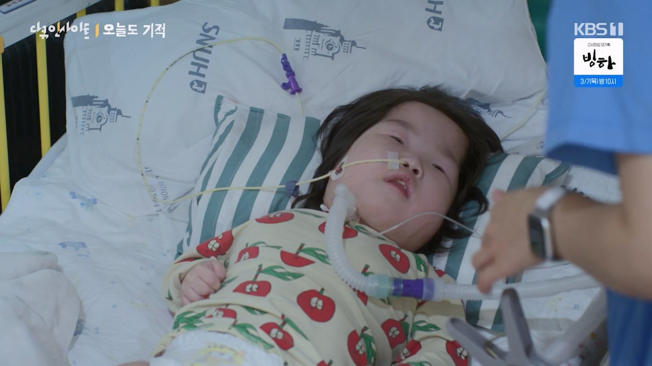 다큐 인사이트.E182.240230p-NEXT.mp4_20240301_175506.310.jpg