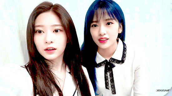 img.gif