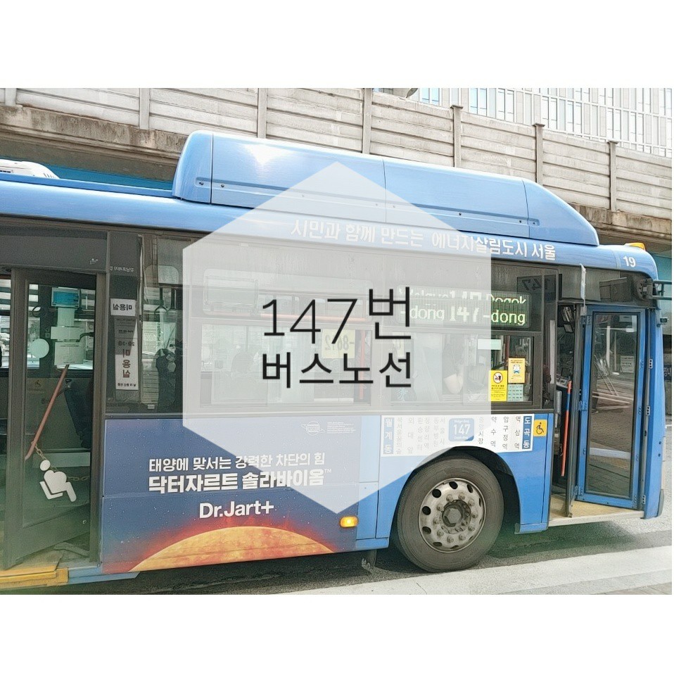  진아교통 147번 버스 이용