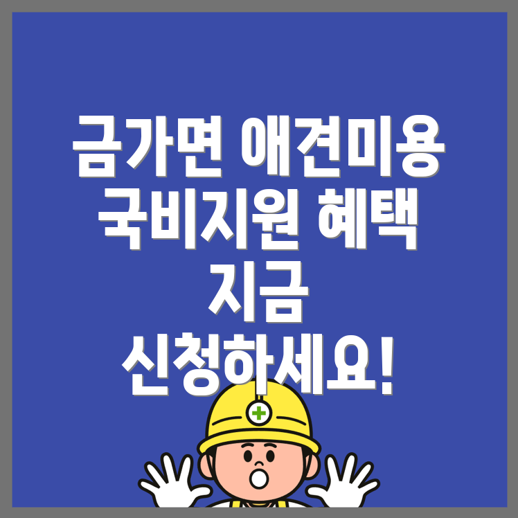 애견미용