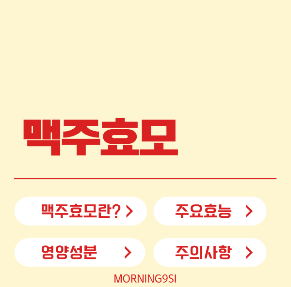 맥주효모 효능