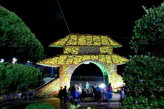 마산 국화축제