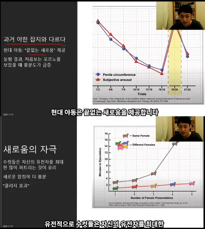 현대의 야동이 주는 자극수치 연구