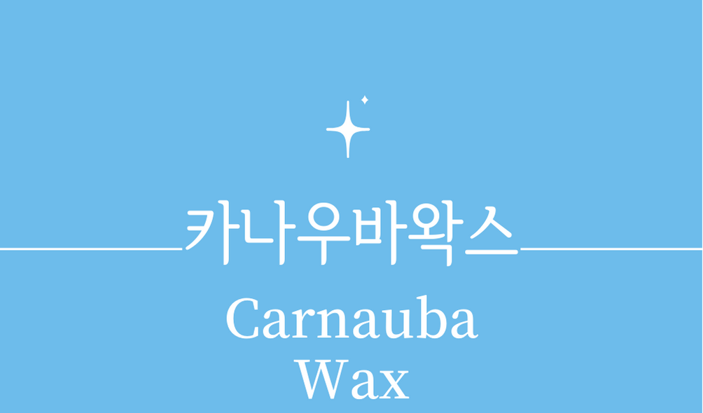 &#39;카나우바왁스(Carnauba Wax)&#39;