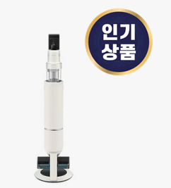  VS28C973ISG 삼성전자 삼성 청소기 추천