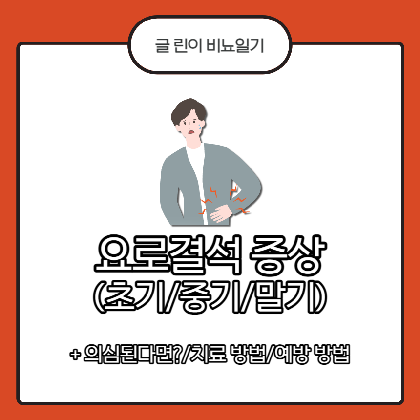  요로결석 증상 (초기/중기/말기)