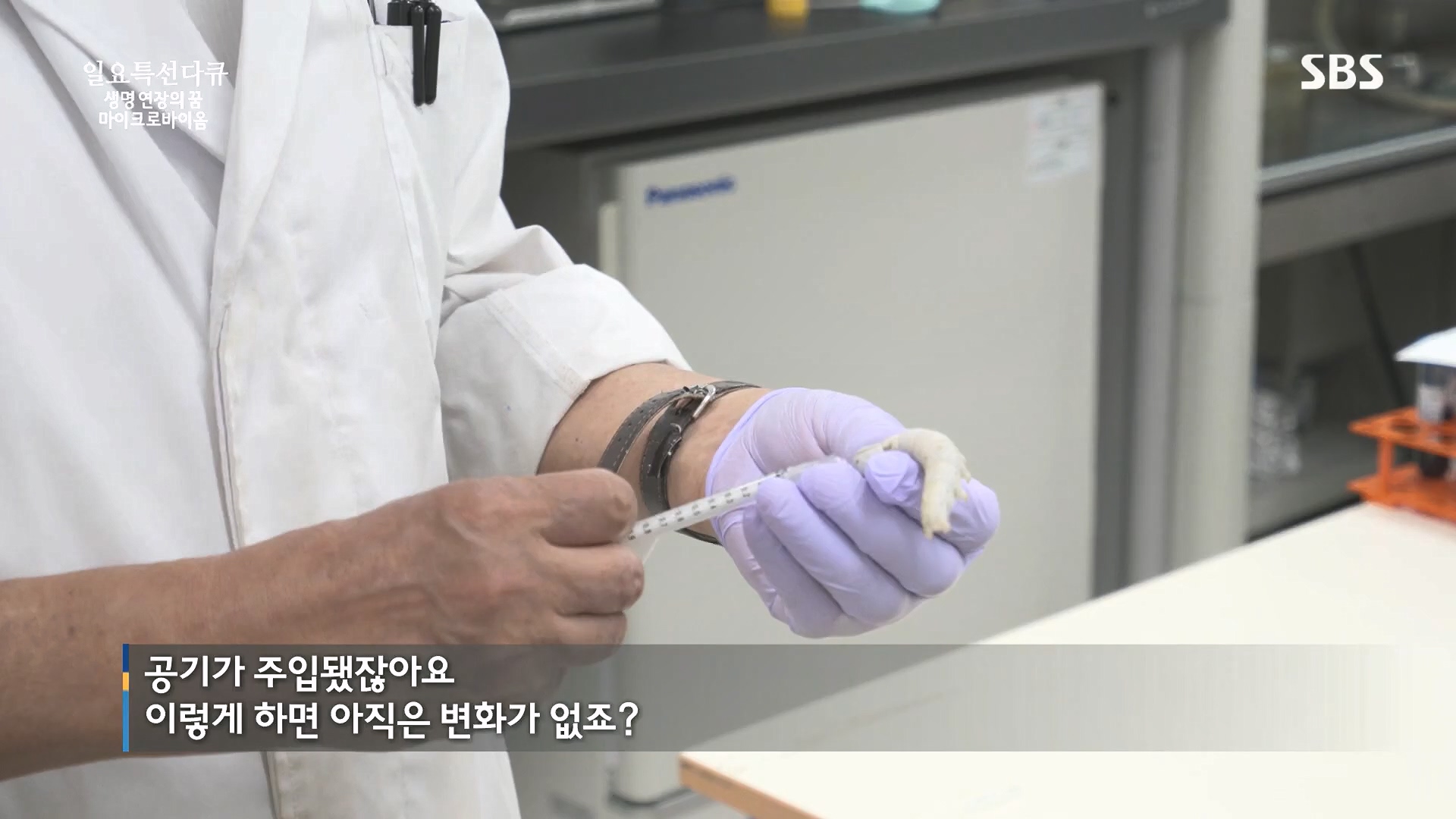 일요 특선 다큐멘터리.E318.230903p.H264-F1RST.mp4_20230907_204919.396.jpg