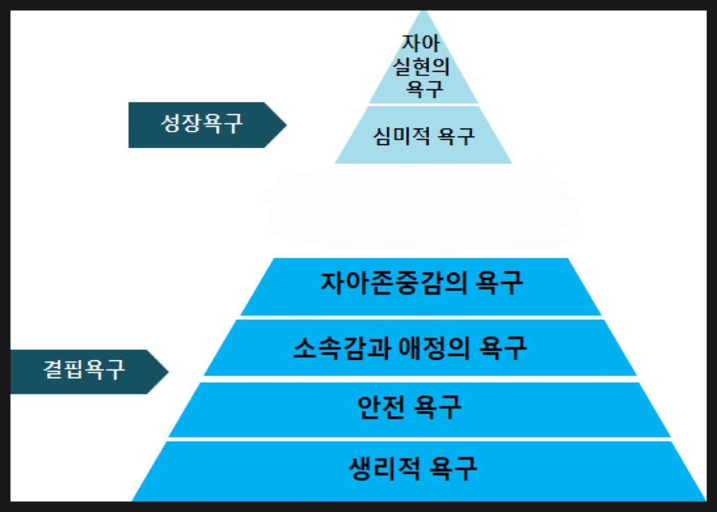  [임용] 성격심리학 : 현상학적 관점 / 매슬로우