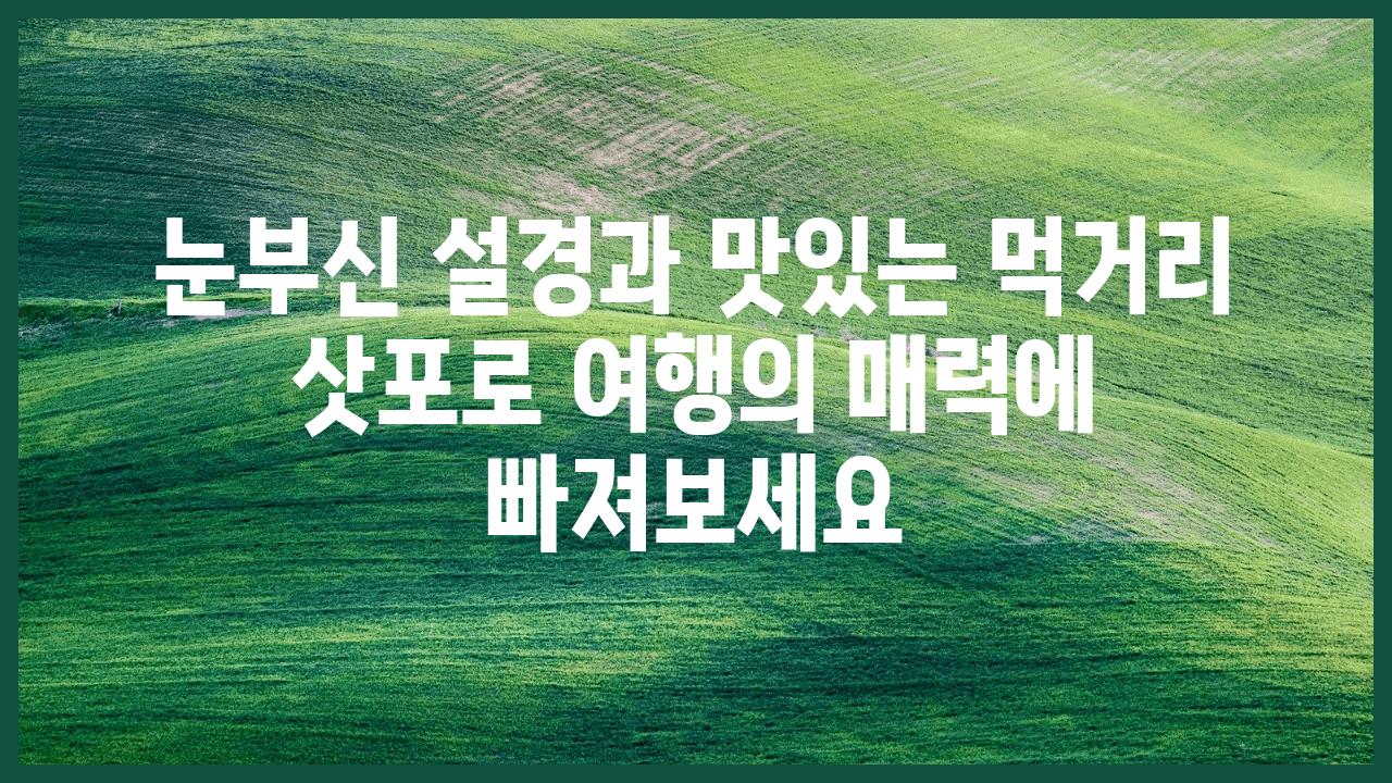 눈부신 설경과 맛있는 먹거리 삿포로 여행의 매력에 빠져보세요