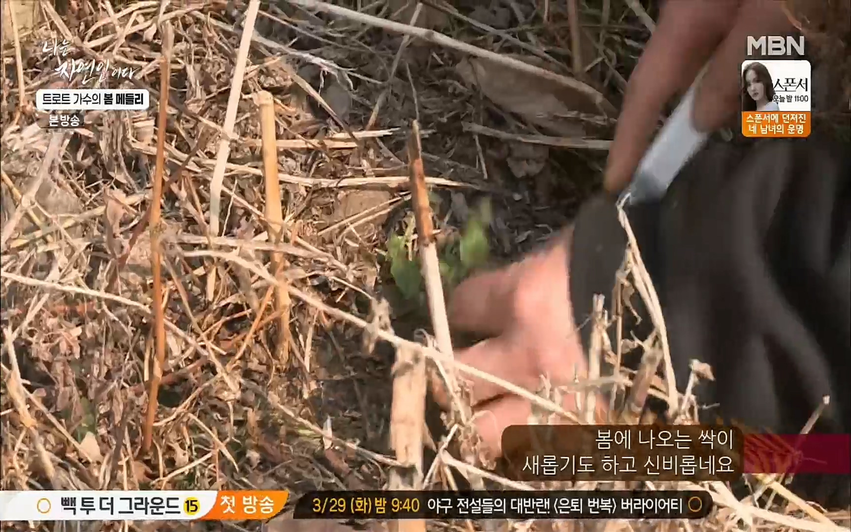 나는 자연인이다.E494.220323p.H264-F1RST.mp4_20220324_183507.928.jpg