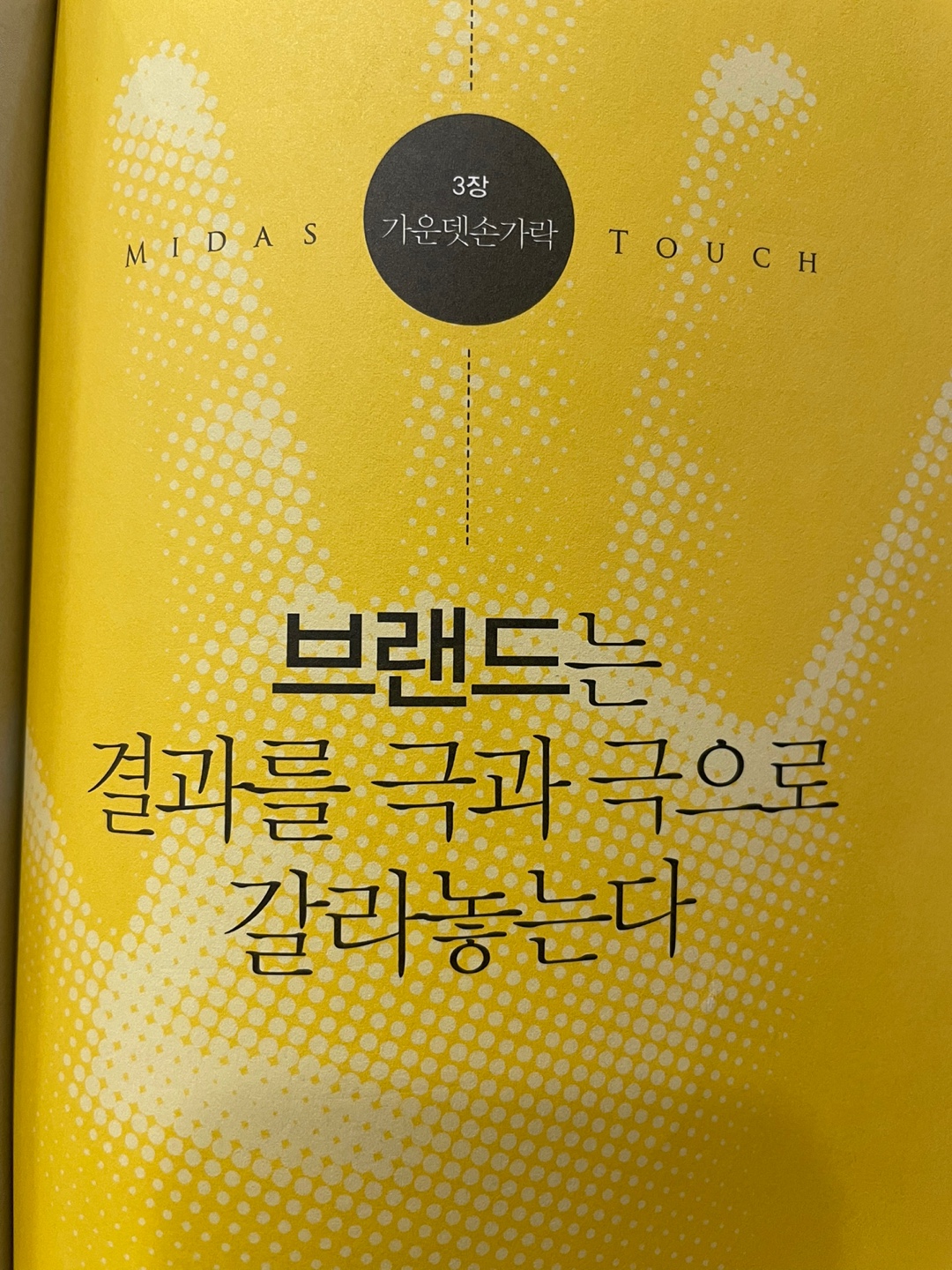  마이더스터치 3회독 131~262p