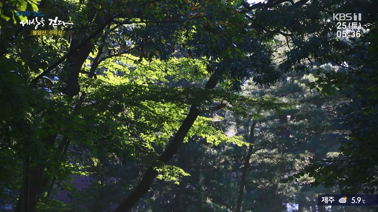 트레킹노트 세상을 걷다.E298.231126p-NEXT.mp4_20231205_210940.127.jpg