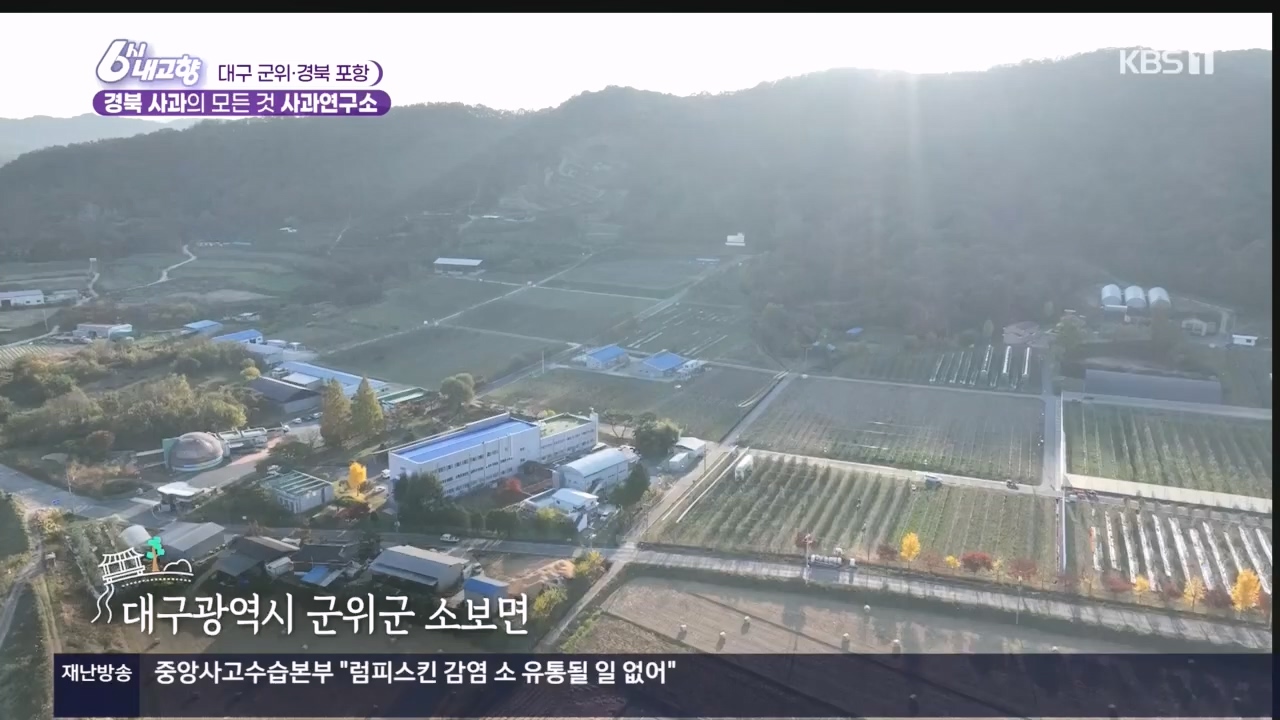 6시 내고향.E7907.231108p.H264-F1RST.mp4_20231108_204725.687.jpg