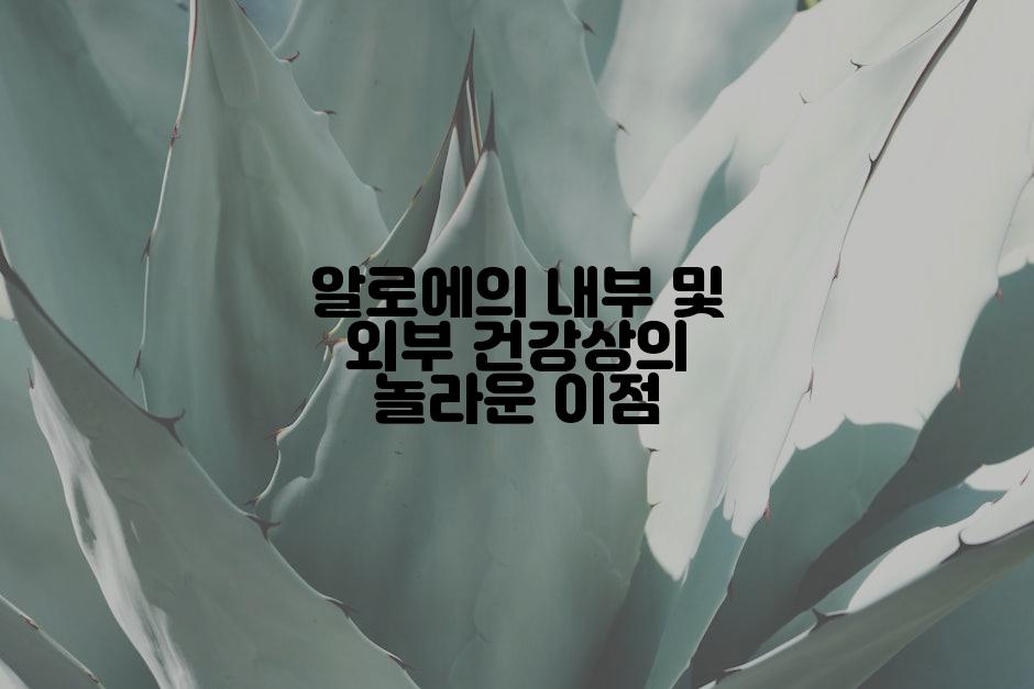 알로에의 내부 및 외부 건강상의 놀라운 이점