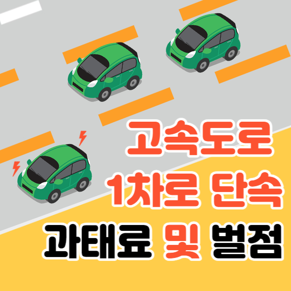 고속도로 1차로 단속