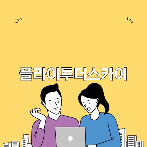 플라이투더스카이