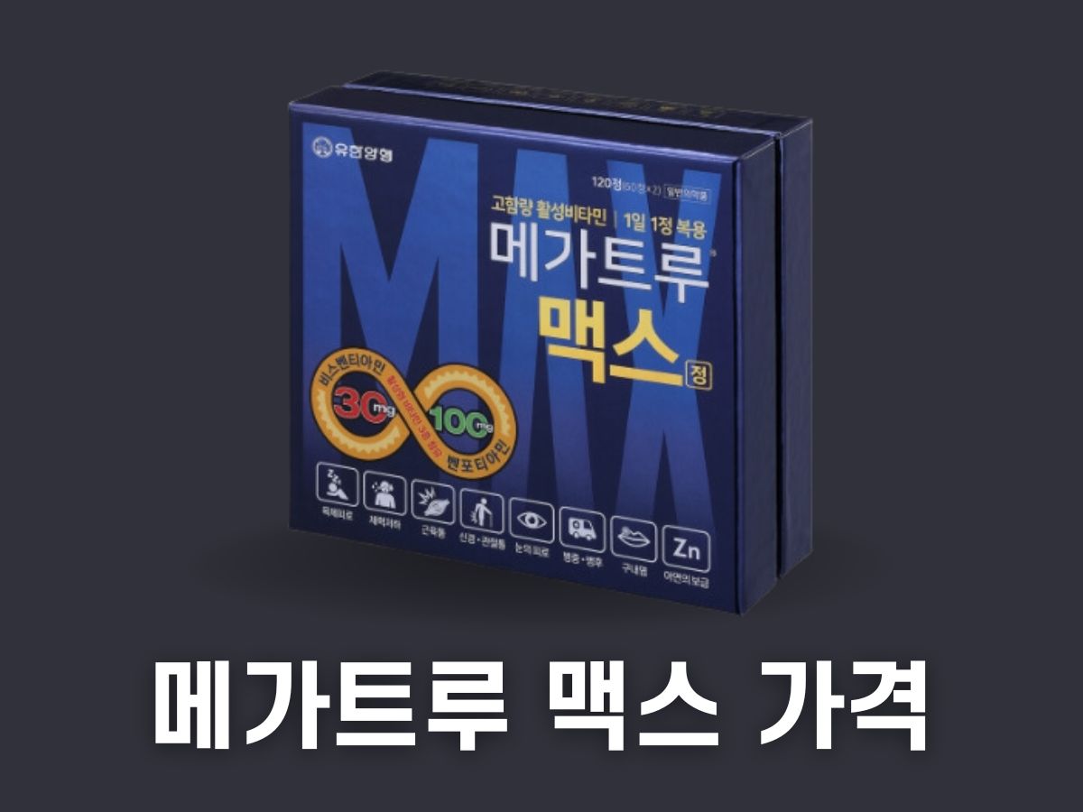 메가트루 맥스 가격