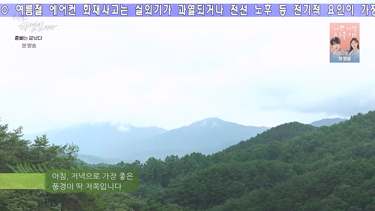 나는 자연인이다.E616.240732p-NEXT.mp4_20240801_195121.797.jpg