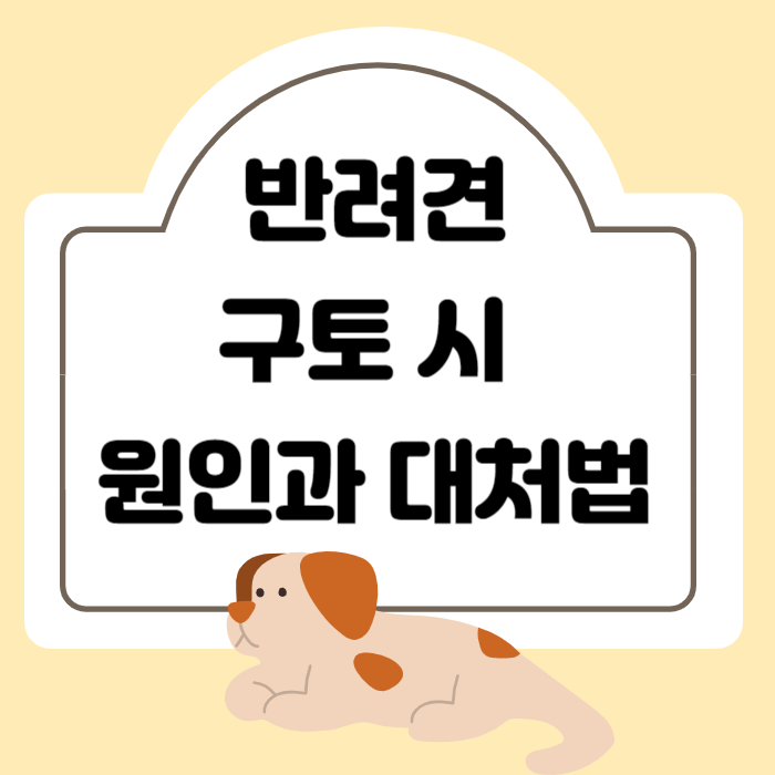 반려견 구토 시 원인과 이유 대처법