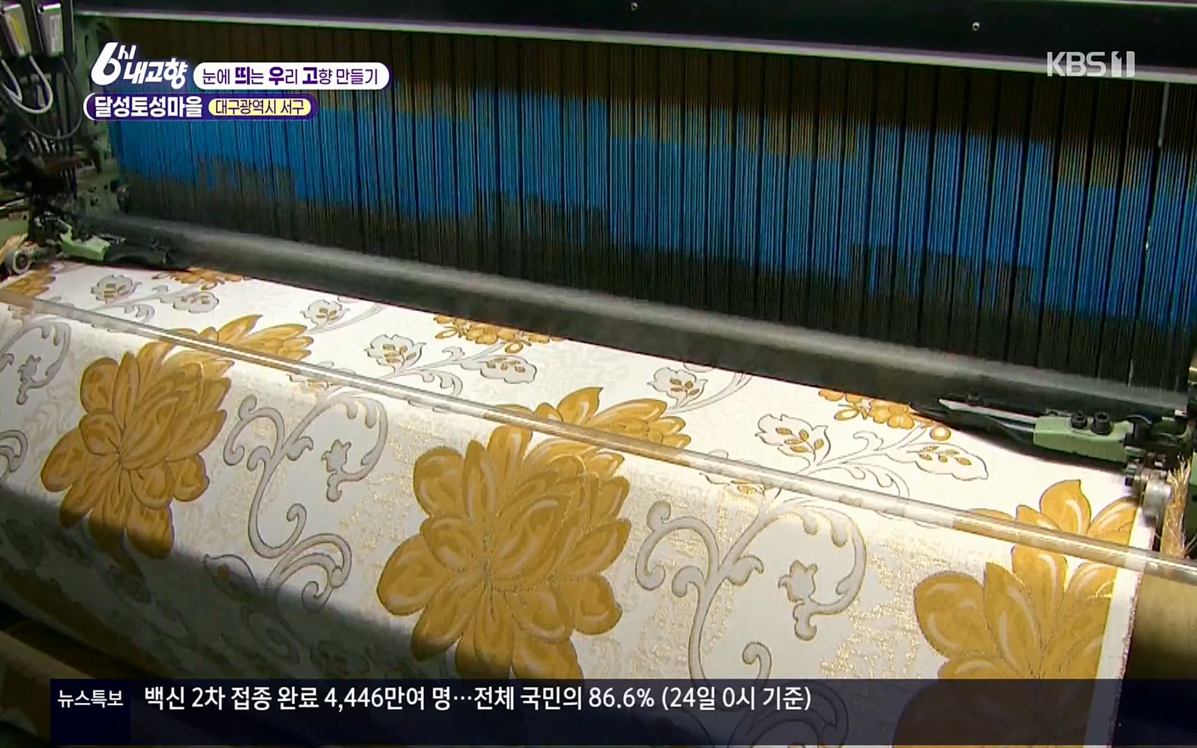 6시 내고향.E7496.220324p.H264-F1RST.mp4_20220328_174935.254.jpg