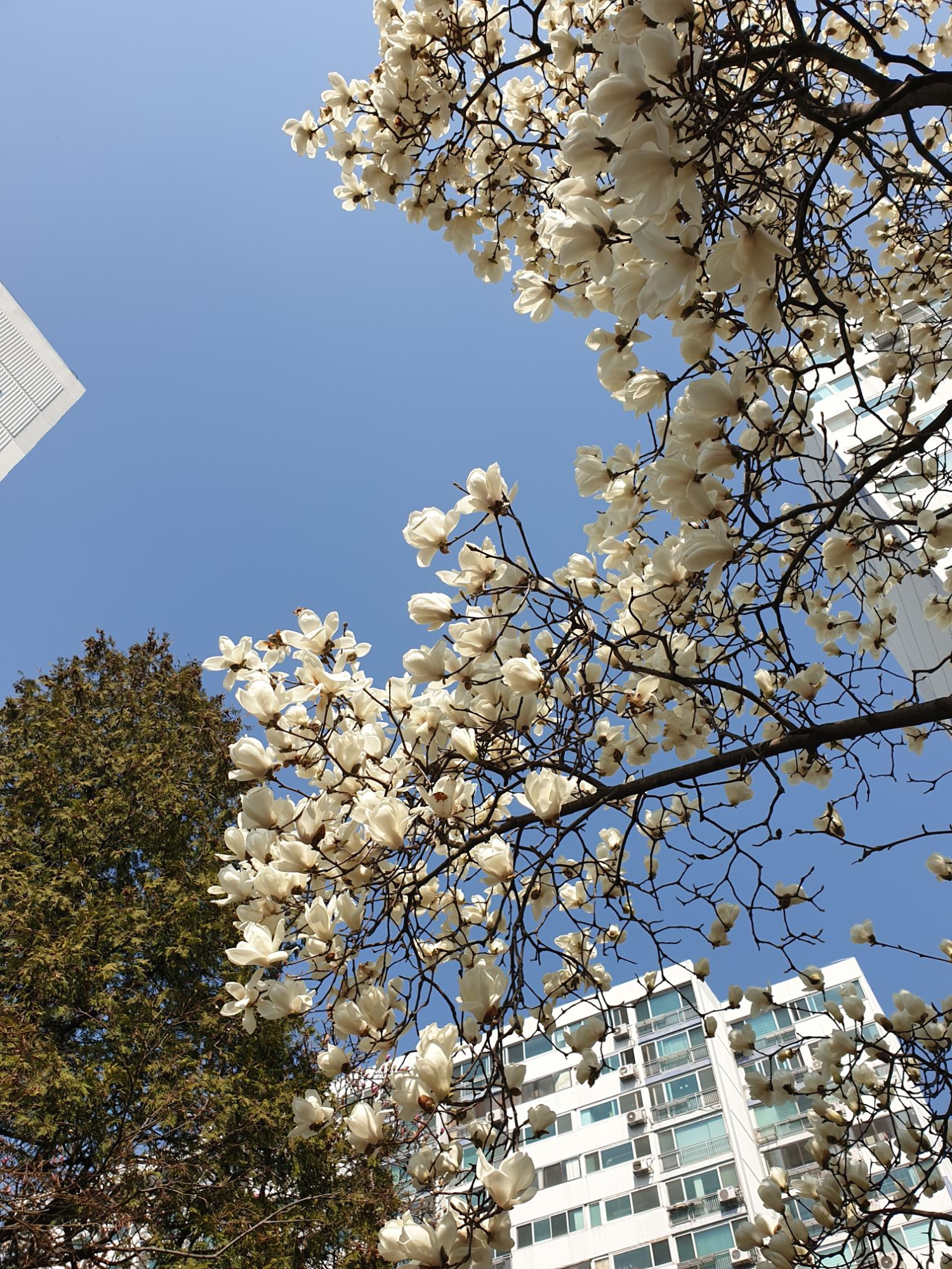  구글 애드센스 신청했는데..