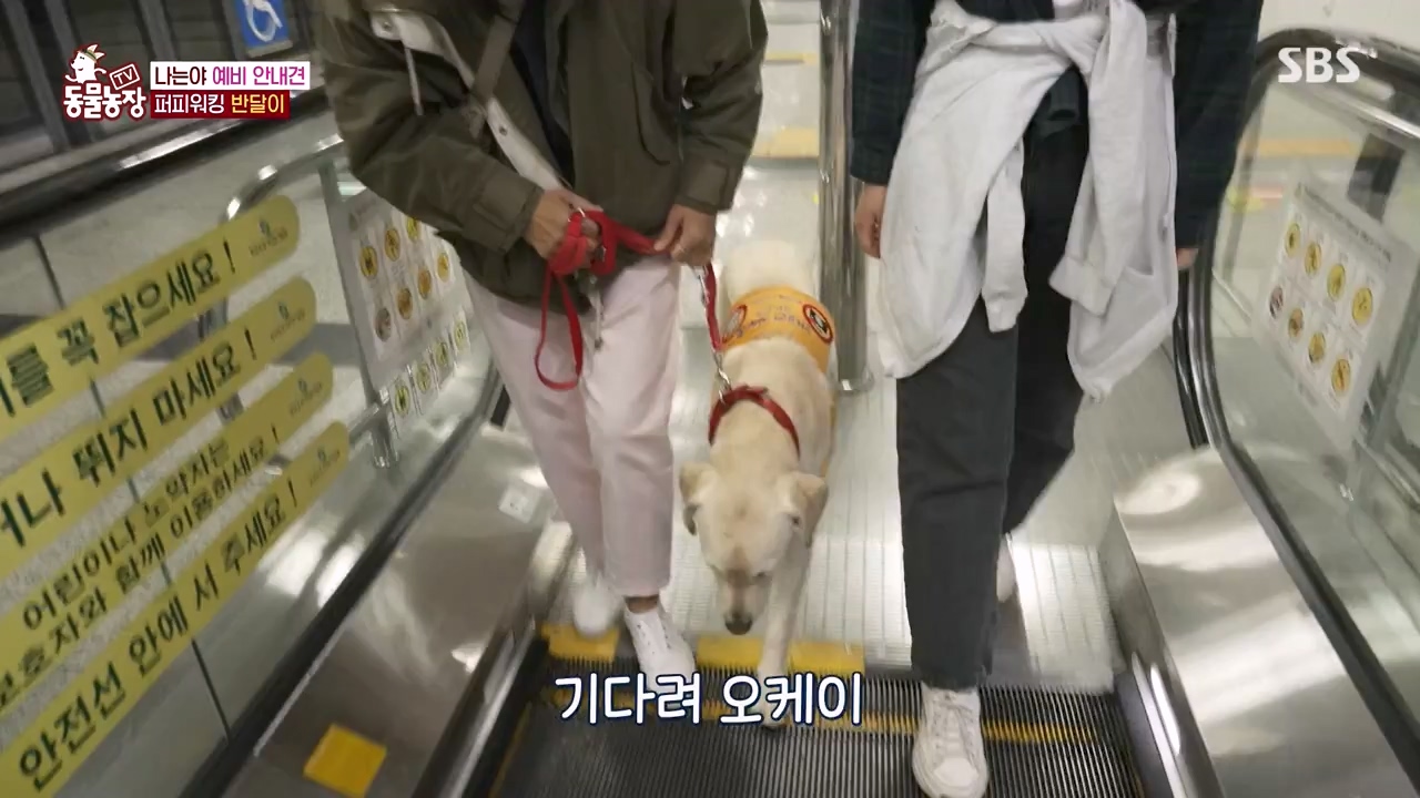 TV 동물농장.E1122.230529p-NEXT.mp4_20230528_170255.332.jpg