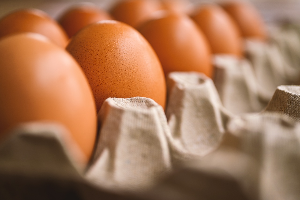 Simple Ways to Check the Freshness of Eggs Inside the Refrigerator.