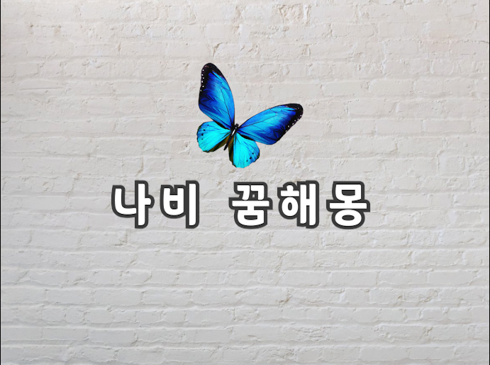  나비 꿈 나비 꿈해몽이 궁금하다면 들어오세요!