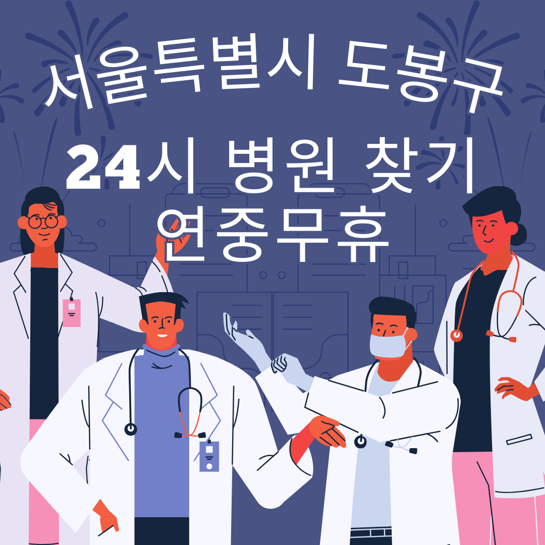 서울특별시 도봉구 24시 야간 및 일요일 주말 진료 병원