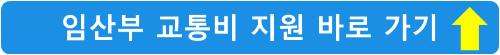 임산부-교통비-지원-바로가기