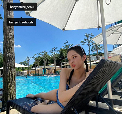 로지트리 이미지