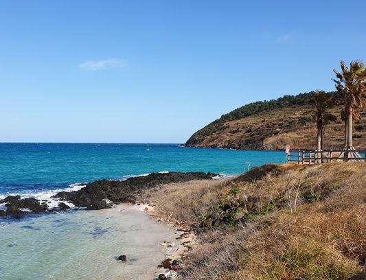 제주도 한달살기 4인가족 서우봉 함덕해수욕장 올레길