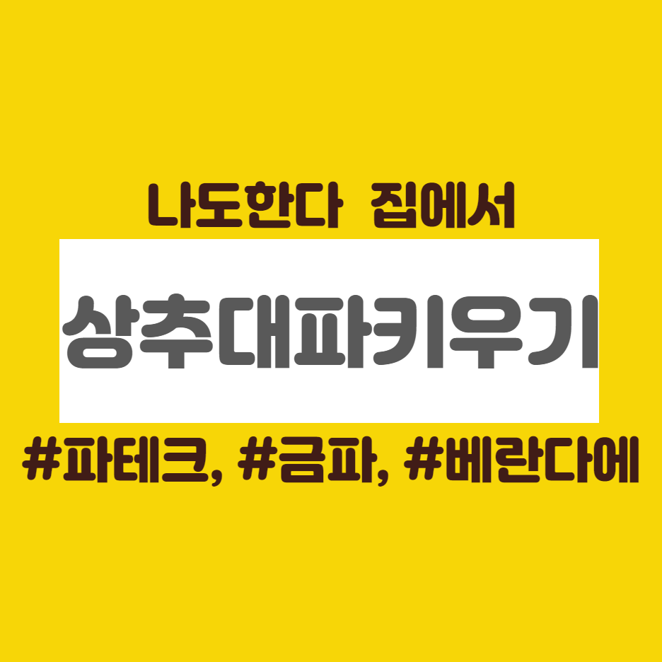  집 베란다에서 대파키우기&상추키우기( 페트병으로 자동급수화분 만들기 )