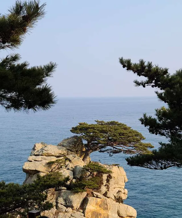 등대해수욕장