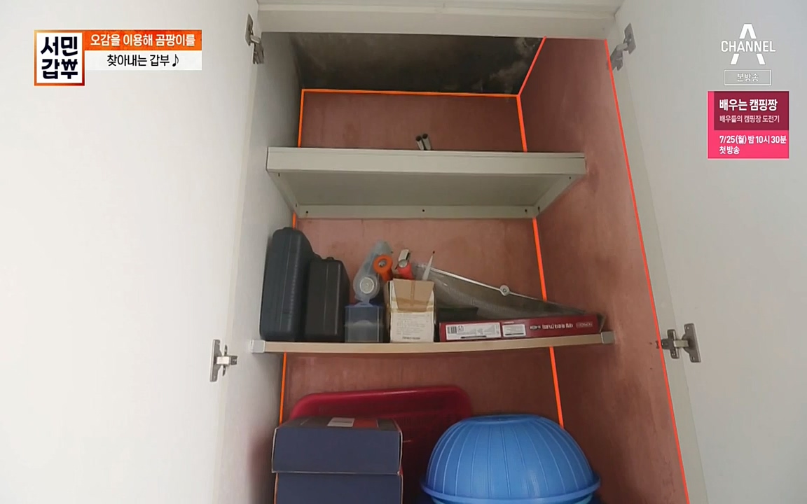 서민 갑부.E393.220724p-NEXT.mp4_20220724_142745.118.jpg