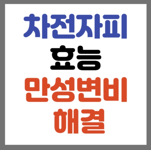 차전자피의 효능