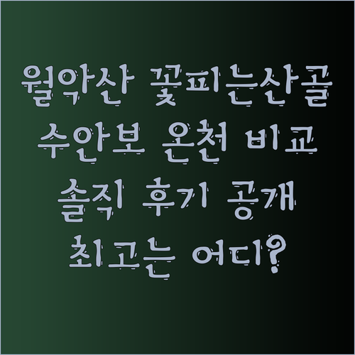 월악산 꽃피는산골 VS 수안보사이판온