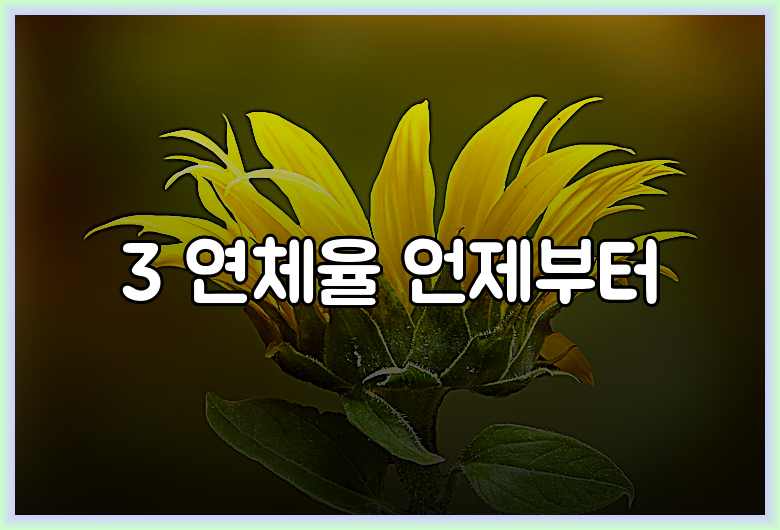 3 연체율 언제부터