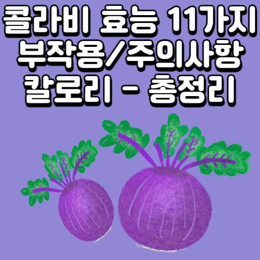 콜라비
콜라비 부작용
콜라비 칼로리
콜라비 효능
콜라비 주의사항