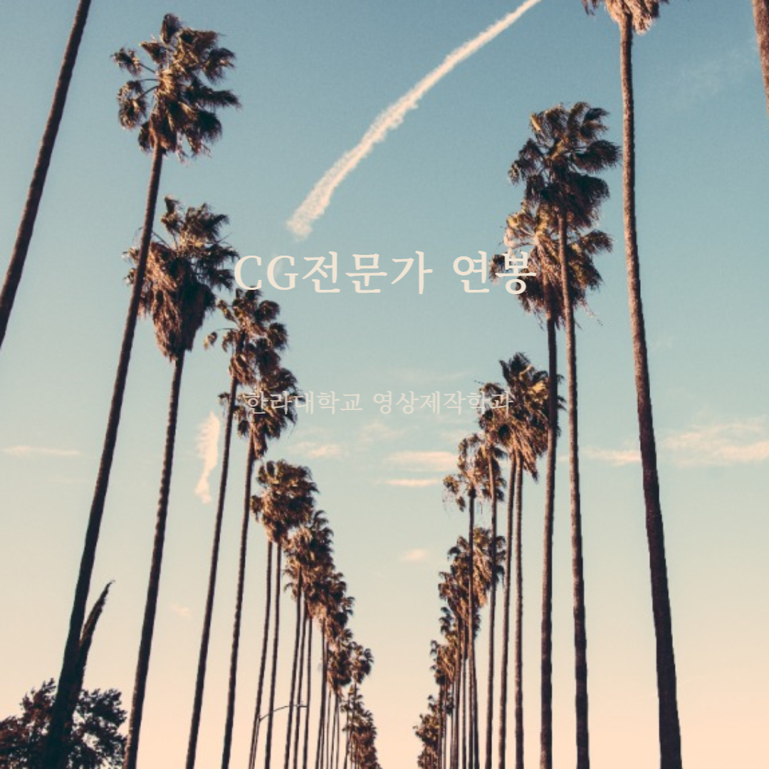 CG전문가-연봉