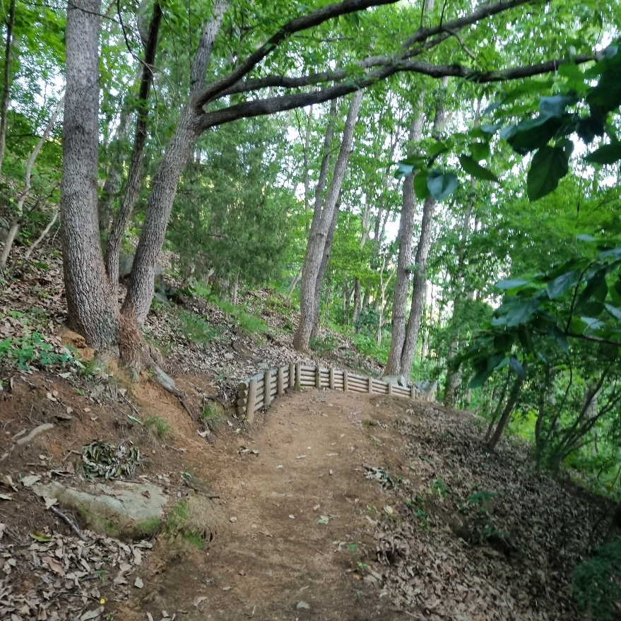안동댐 가는길