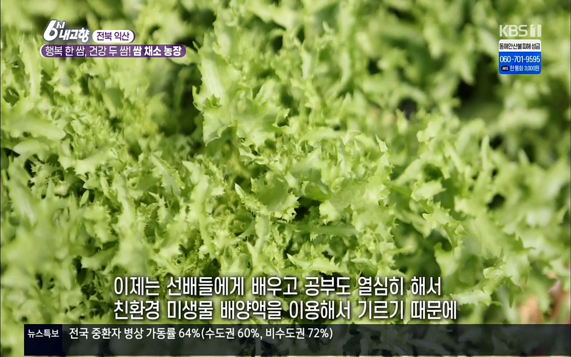 6시 내고향.E7501.220332p.H264-F1RST.mp4_20220402_201614.727.jpg