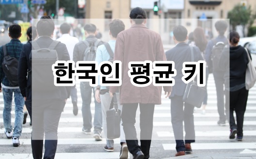  한국인 평균 키 키 성장에 도움 되는 운동