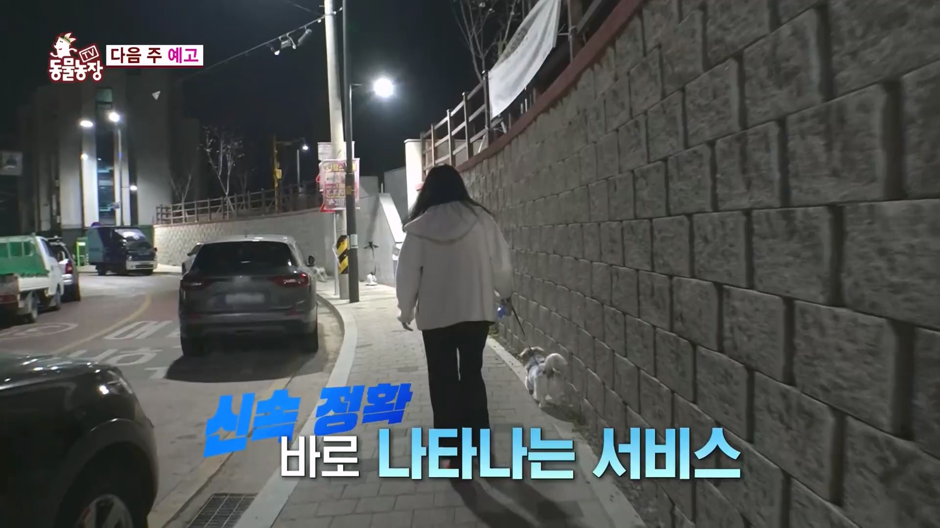TV 동물농장.E1118.230423p.H264-F1RST.mp4_20230423_181138.406.jpg