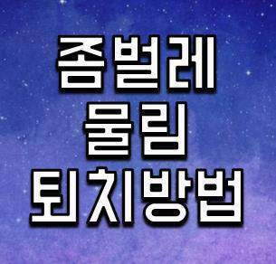 좀벌레 무나요