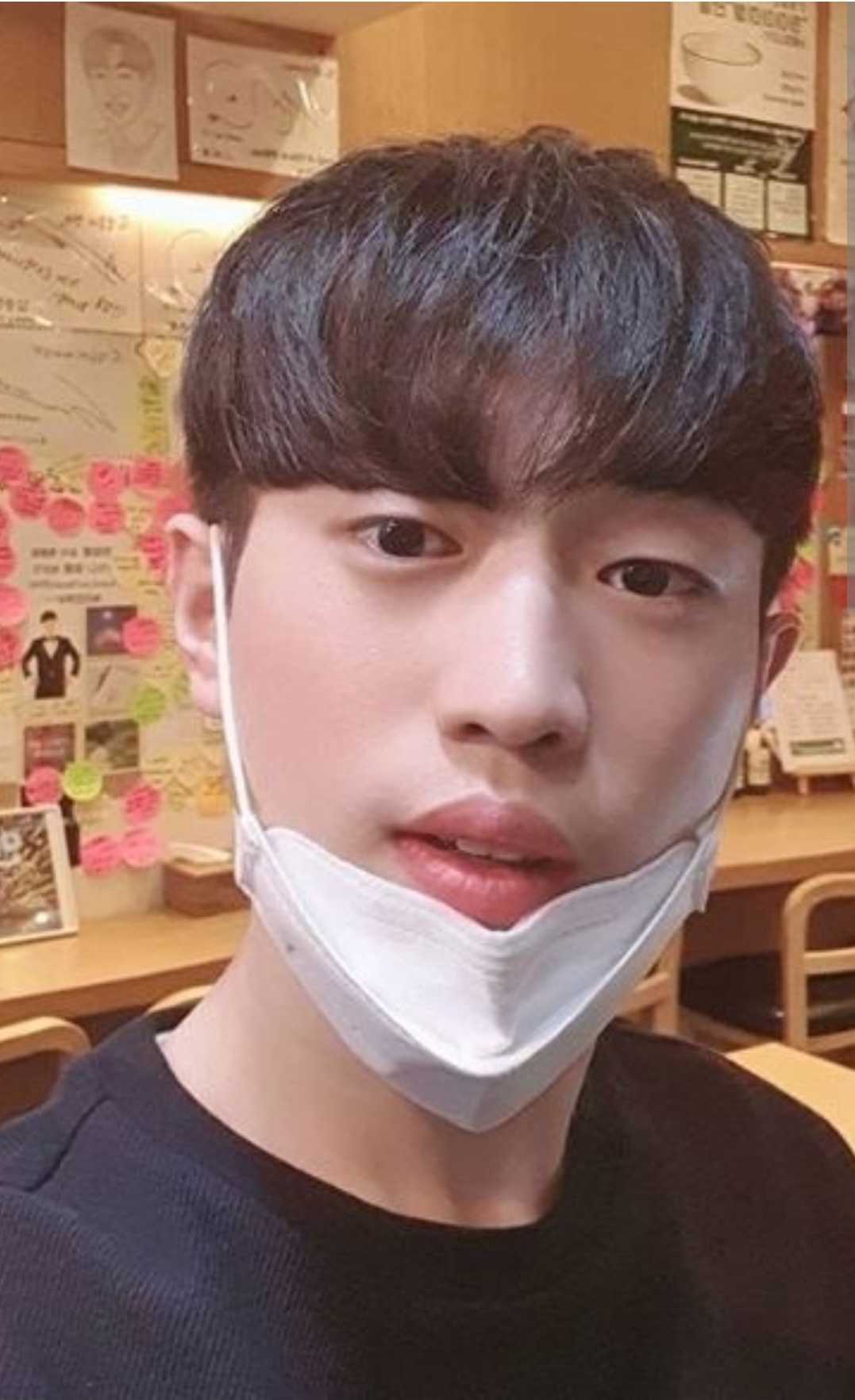 안성훈 프로필 부모님 주먹밥