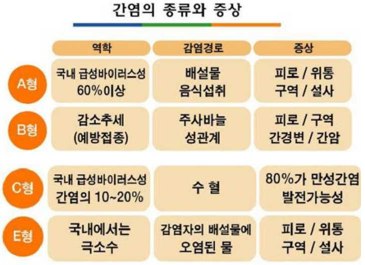 간염-종류와-대표-증상들