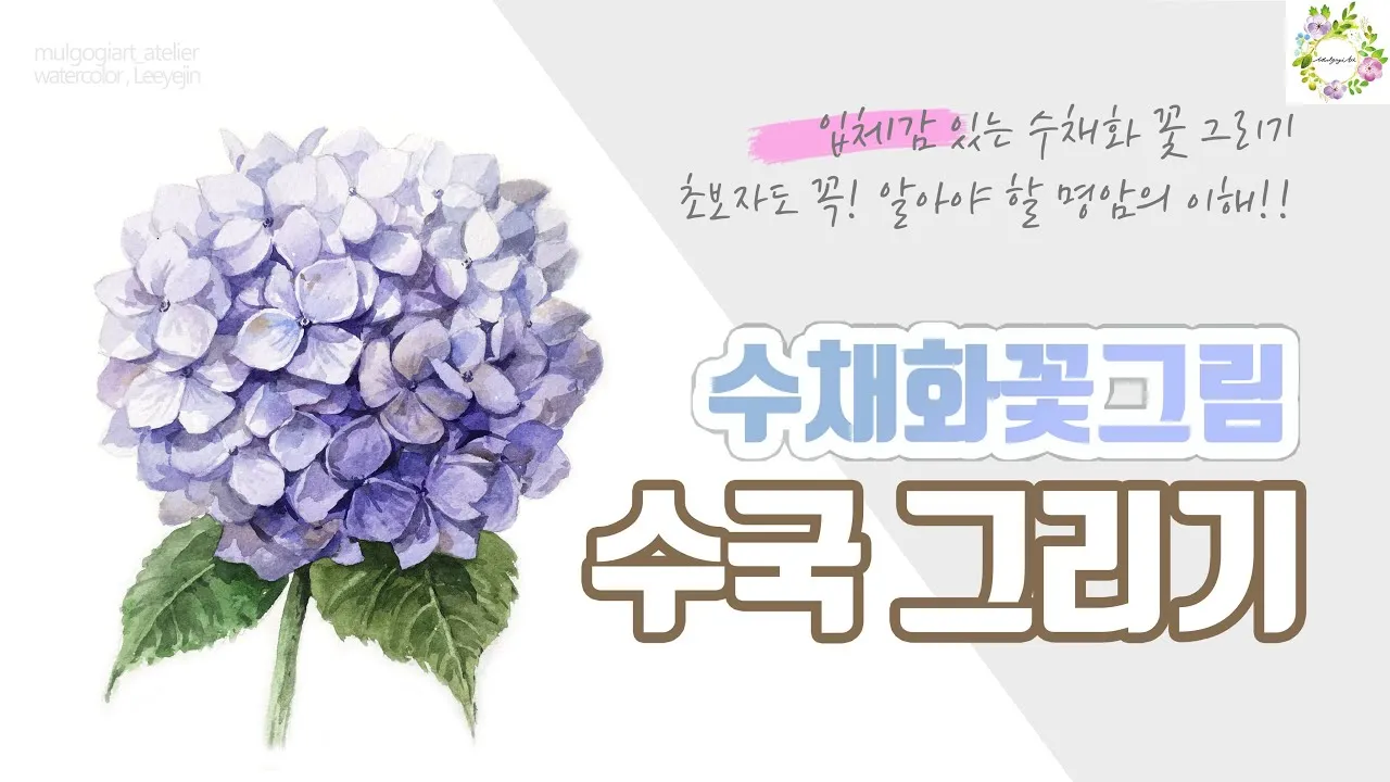 수국 키우는 법 색깔 변화 이유 관리_1