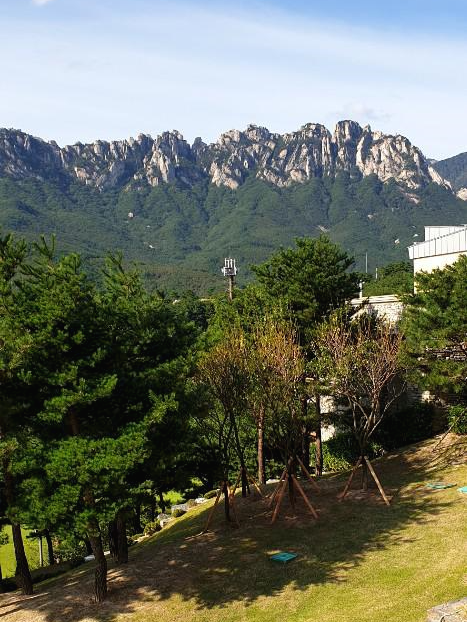  강원도여행 (9.20~24) : (3) 델피노 소노캄, 대포항 팔팔회센터