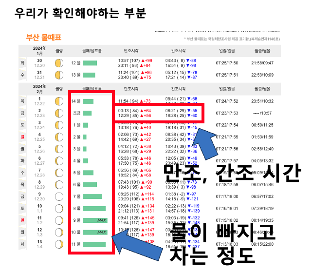 사이트에서 보는법2